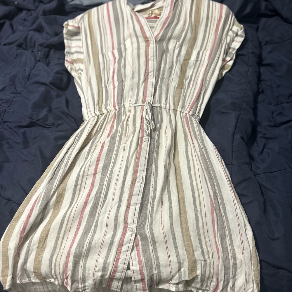 Japna Multicolor Striped Dress